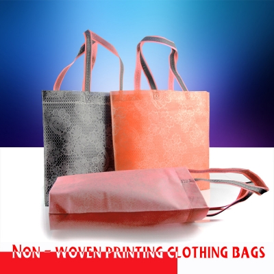 5 pcs 42x32cm Wholesale Eco-friendly Non Woven Clothing Packaging Shopping Bags with Handle